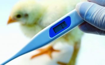 Why we need a comprehensive strategy for heat stress management?