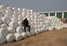 Silage Making – The Next Game Changer in Dairy Farming IMG_20201208_WA0015