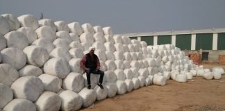 Silage Making – The Next Game Changer in Dairy Farming IMG_20201208_WA0015