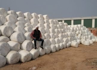 Silage Making – The Next Game Changer in Dairy Farming IMG_20201208_WA0015