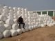 Silage Making – The Next Game Changer in Dairy Farming IMG_20201208_WA0015
