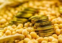 Protein – the essence of feed