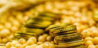 Protein – the essence of feed