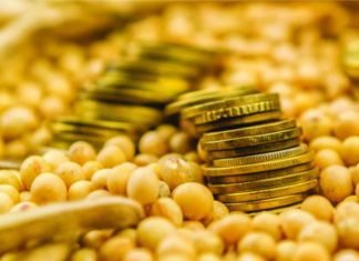 Protein – the essence of feed