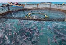 UP government paves the way for Blue Revolution