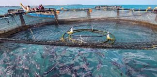 UP government paves the way for Blue Revolution