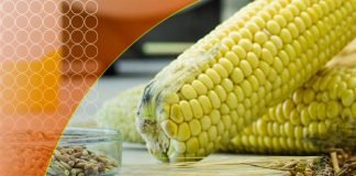 MYCOTOXIN RISK ASSESSMENT BY CARGILL FOR INDIAN POULTRY INDUSTRY
