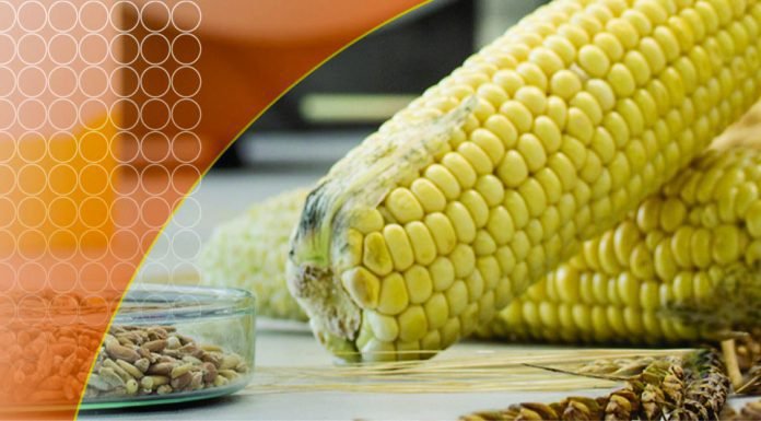 MYCOTOXIN RISK ASSESSMENT BY CARGILL FOR INDIAN POULTRY INDUSTRY