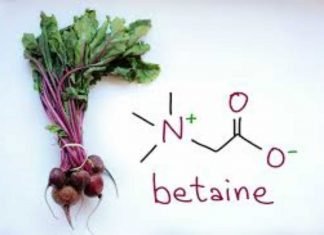 UNDERSTANDING THE ROLE OF BETAINE IN ALLEVIATING THE HEAT STRESS IN THE POULTRY BIRDS