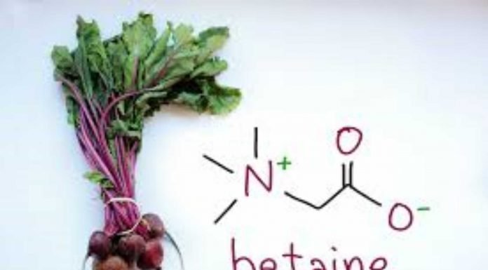UNDERSTANDING THE ROLE OF BETAINE IN ALLEVIATING THE HEAT STRESS IN THE POULTRY BIRDS