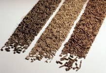 Evaluating Protease Enzymes