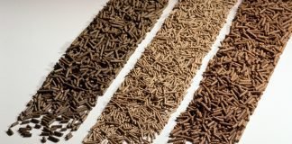 Evaluating Protease Enzymes