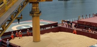 GM soybean meal imports in India to reduce feed cost