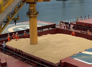 GM soybean meal imports in India to reduce feed cost