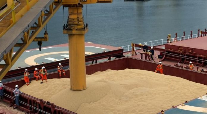 GM soybean meal imports in India to reduce feed cost