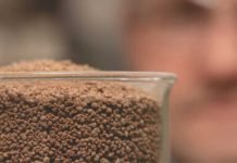 Global expansion of leading alternative protein producer