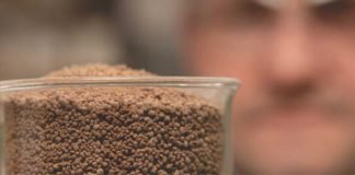 Global expansion of leading alternative protein producer