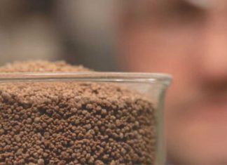 Global expansion of leading alternative protein producer