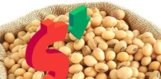 Soyabean prices have crashed by close to 50%