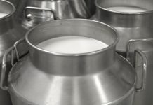 All- women Milk Producers Institute launched in Karimnagar