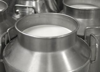 All- women Milk Producers Institute launched in Karimnagar
