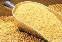 Bangladesh extends export window for soybean meal till 31 October