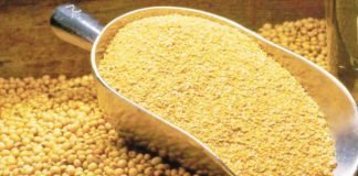 Bangladesh extends export window for soybean meal till 31 October