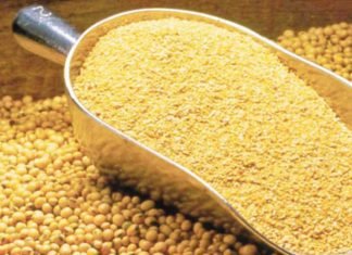 Bangladesh extends export window for soybean meal till 31 October