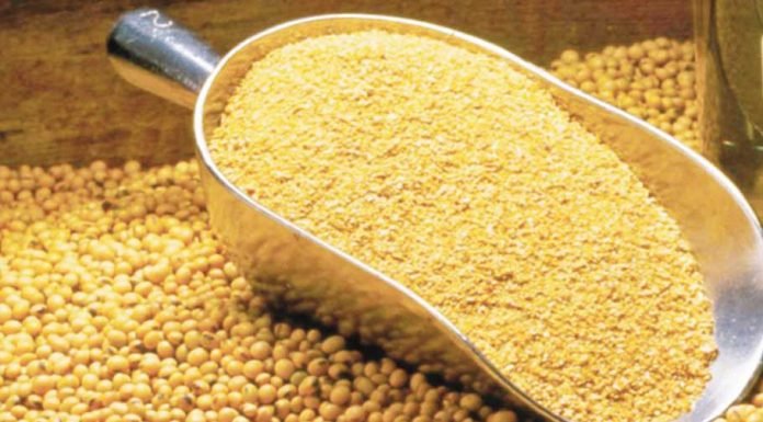 Bangladesh extends export window for soybean meal till 31 October