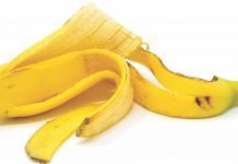 Raw Banana Peel Silage -A potential unconventional feed