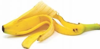 Raw Banana Peel Silage -A potential unconventional feed