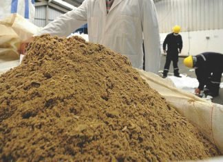 Shrimp sector demand for fish meal to increase: IFFO