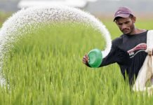 India on phosphorus -based fertiliser subsidy