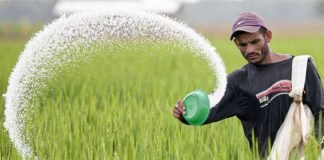 India on phosphorus -based fertiliser subsidy