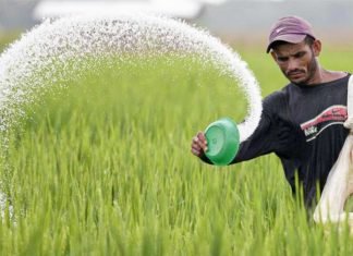 India on phosphorus -based fertiliser subsidy