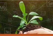 Alltech publishes white paper focused on organic trace minerals enhancing mineral bioavailability through chelation