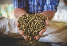 Feed Safety – Importance, Components and Ways to Ensure Safe Feed Production