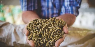 Feed Safety – Importance, Components and Ways to Ensure Safe Feed Production