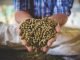 Feed Safety – Importance, Components and Ways to Ensure Safe Feed Production