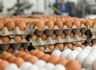 Special plans of Kerala government to achieve self-sufficiency in meat and egg production
