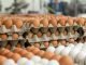 Special plans of Kerala government to achieve self-sufficiency in meat and egg production