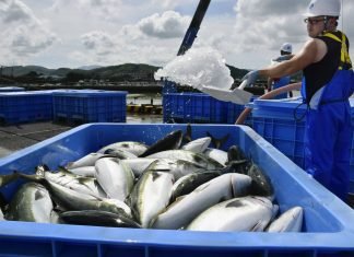 Government plans for increased fish exports by 2024-25.