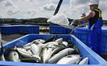 Government plans for increased fish exports by 2024-25.