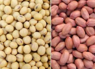 Increased soyameal and rapemeal prices resulted in lowered oilmeal exports