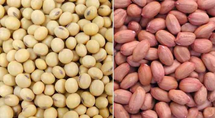 Increased soyameal and rapemeal prices resulted in lowered oilmeal exports