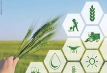 Agritech startup helping Indian Dairy farmers