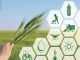 Agritech startup helping Indian Dairy farmers