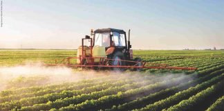 GMO crops or more pesticide?