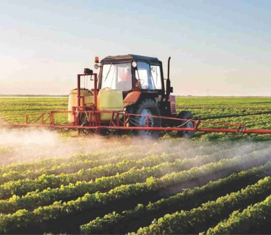 GMO crops or more pesticide?