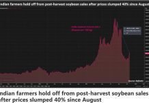 Indian farmers hold soybeans as government measures cut prices